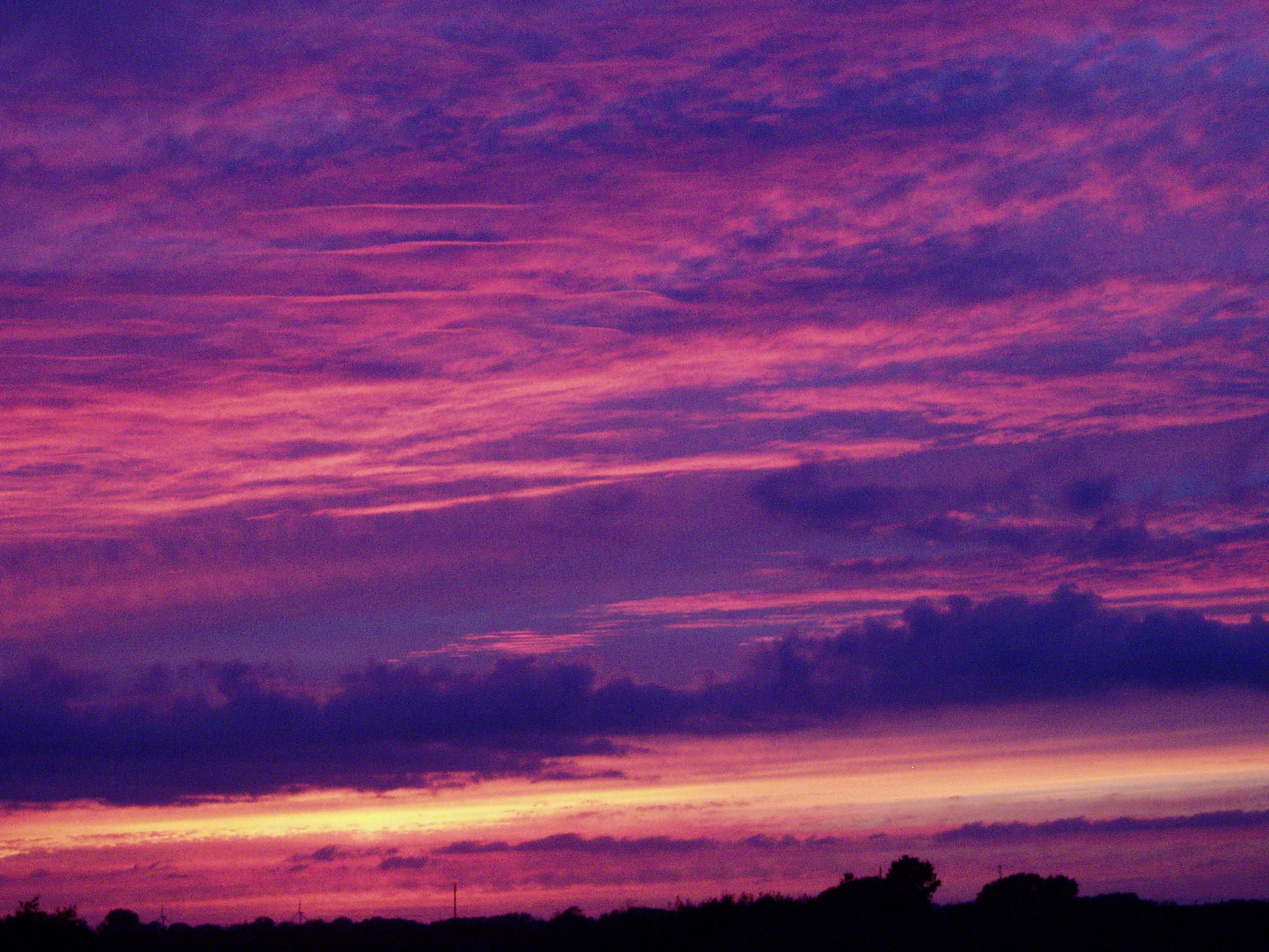 Purple sky – Gårdbutikken Langemarksgaard